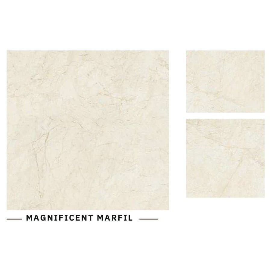 Magnificent Marfil